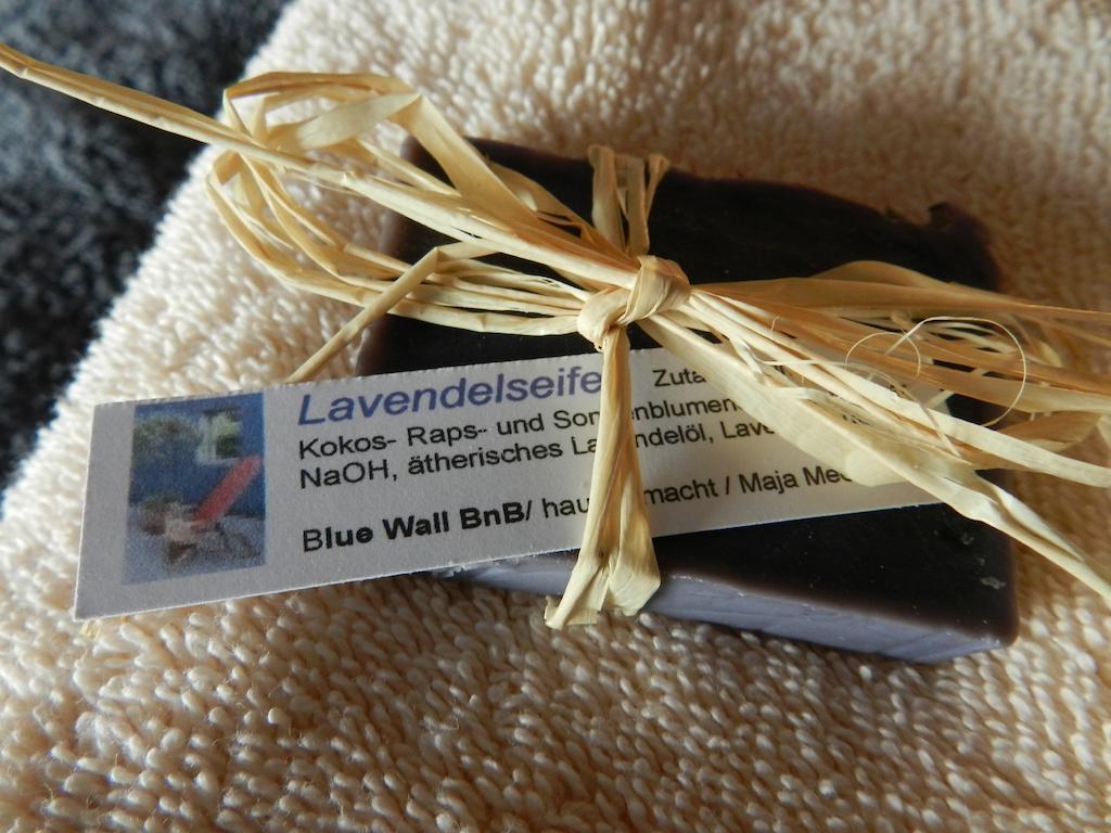 Blue Wall Bnb Gebenstorf Zewnętrze zdjęcie